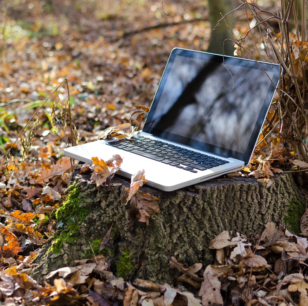 laptop-2055522_1920