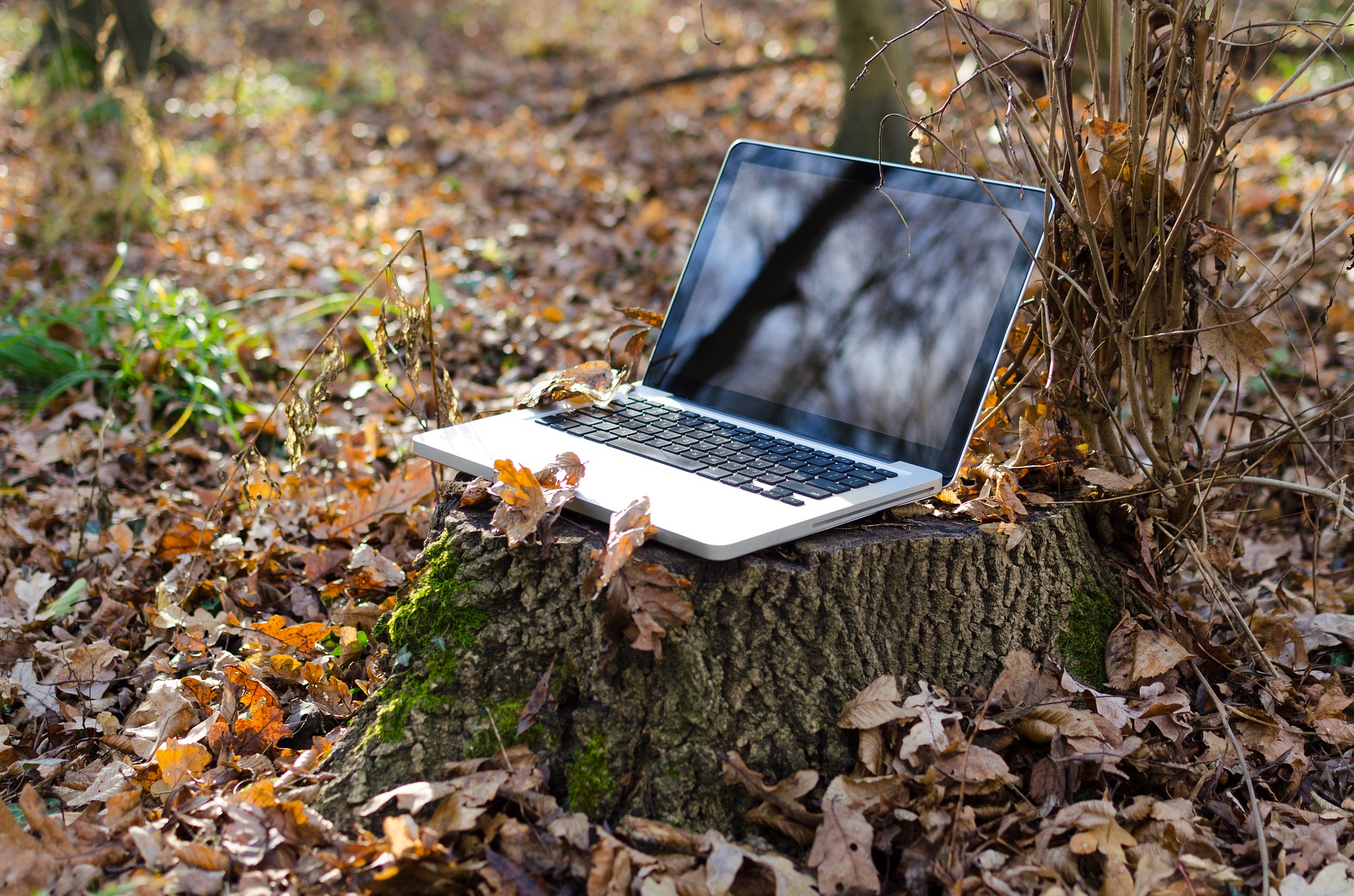 laptop-2055522_1920