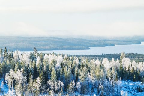 Verkkosivu_uutiskrje_lokakuu2_2021_kuva