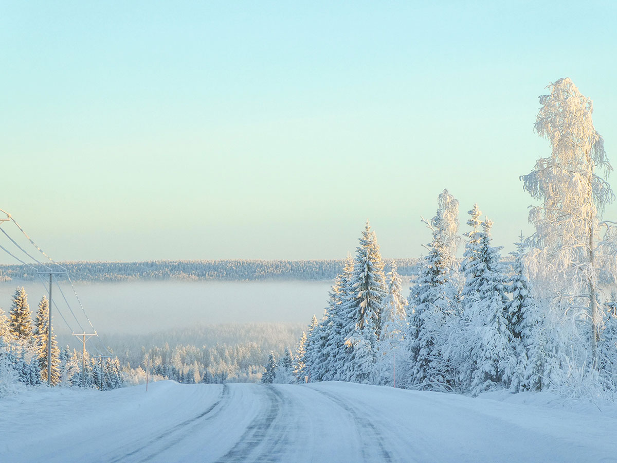 Pakkaspäivän kuurainen maisema