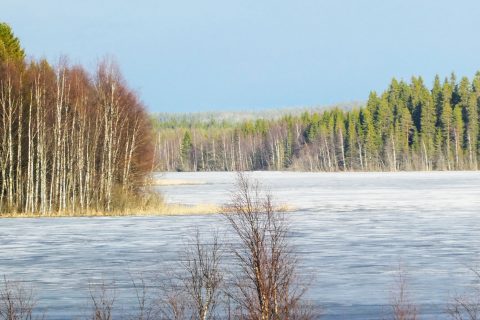 kansikuva_uutiskirje_verkkosivu_toukokuu1_2023_Kuluntajärvi