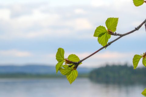 uk_kansi_toukokuu_2025_verkkosivu