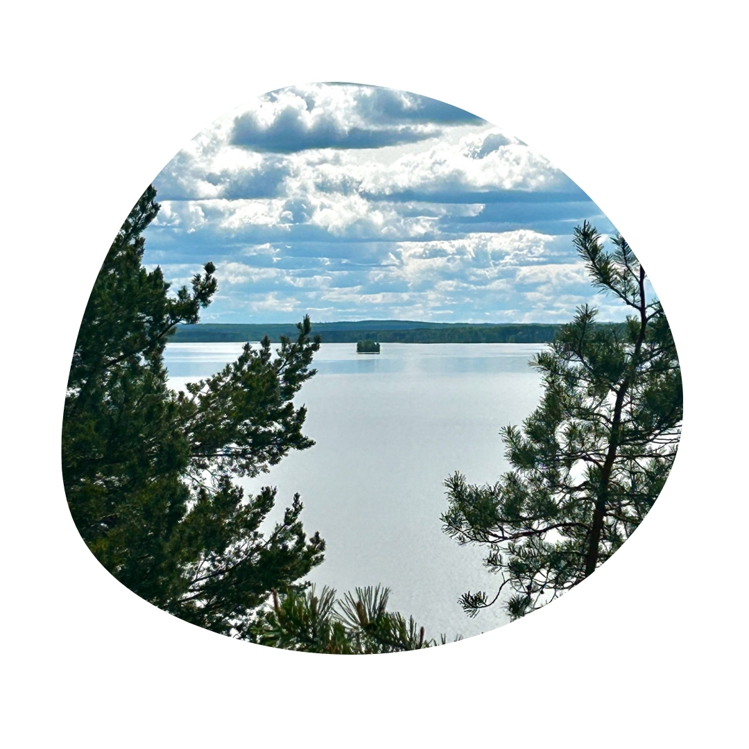 Ärjän maisemaa. Kuva: Mika Seppänen, Kainuun liitto.