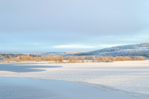 Iijärvi_uutiskirje_web_Arja_Korhonen_marraskuu