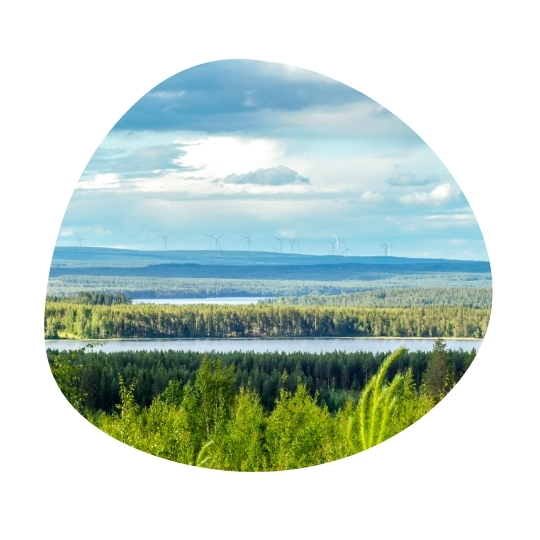 Tuulivoimapuisto kehyksissä